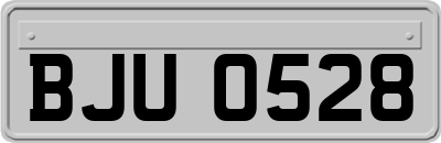 BJU0528
