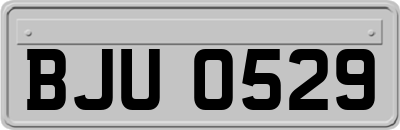 BJU0529