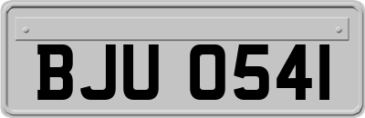 BJU0541