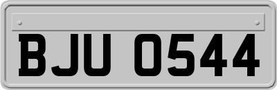 BJU0544