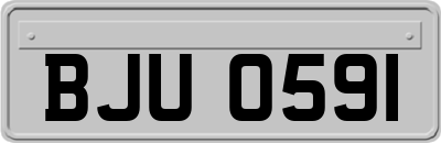 BJU0591