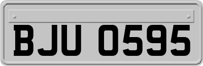 BJU0595