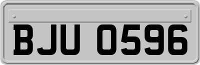 BJU0596