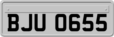 BJU0655