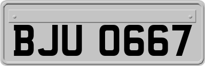 BJU0667