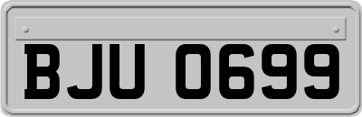 BJU0699