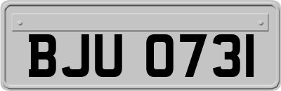 BJU0731