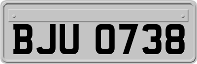 BJU0738