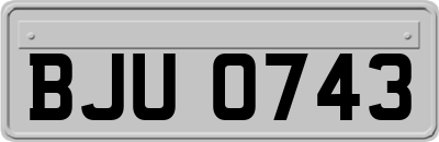 BJU0743