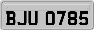 BJU0785