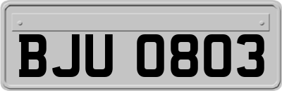 BJU0803