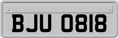 BJU0818