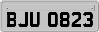 BJU0823