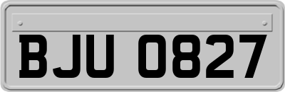 BJU0827