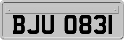 BJU0831