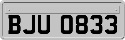 BJU0833