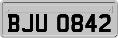 BJU0842