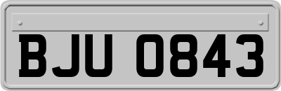 BJU0843
