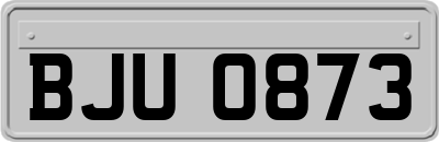 BJU0873