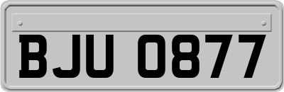 BJU0877