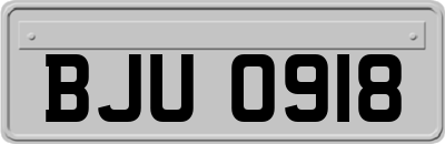 BJU0918