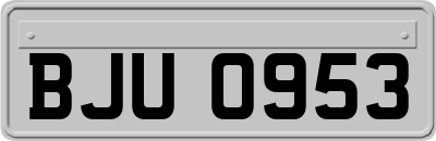 BJU0953