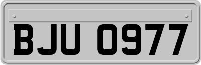 BJU0977