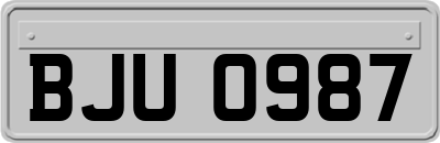 BJU0987