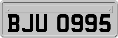 BJU0995