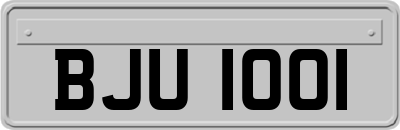 BJU1001