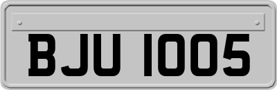 BJU1005