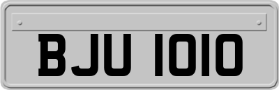 BJU1010