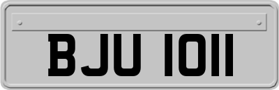 BJU1011