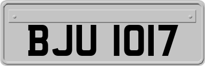 BJU1017