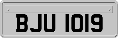 BJU1019