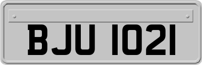 BJU1021