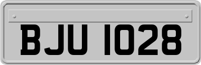 BJU1028