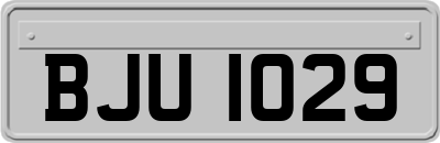 BJU1029