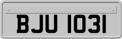 BJU1031