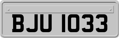 BJU1033