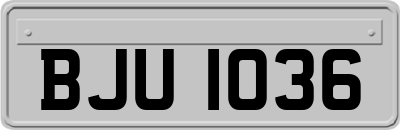 BJU1036