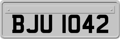 BJU1042