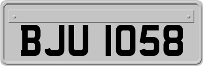 BJU1058
