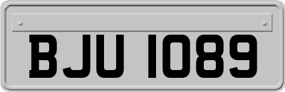 BJU1089