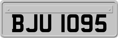 BJU1095