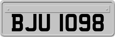 BJU1098