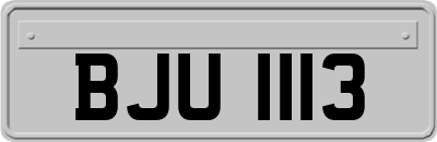 BJU1113