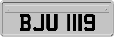 BJU1119