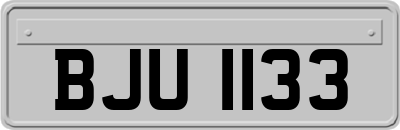 BJU1133