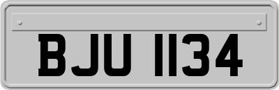 BJU1134